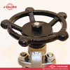 J-Valves China F304/A105n/F316 600lb RF Forged Steel Rising Stem Flanged Gate Valve