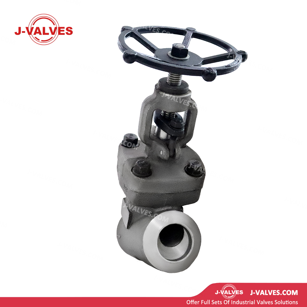 F11 Y Type Globe Valve