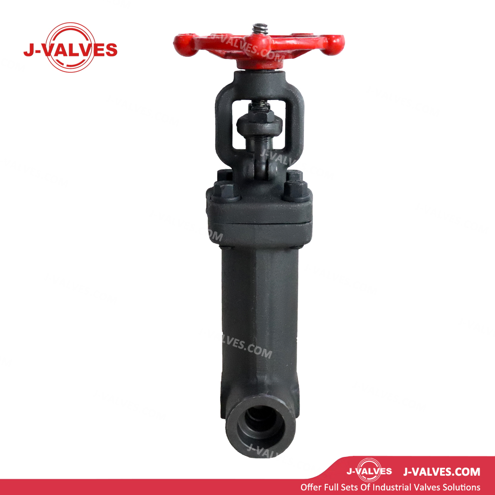 0.75“ 800LB A105N Bellows Gate Valve