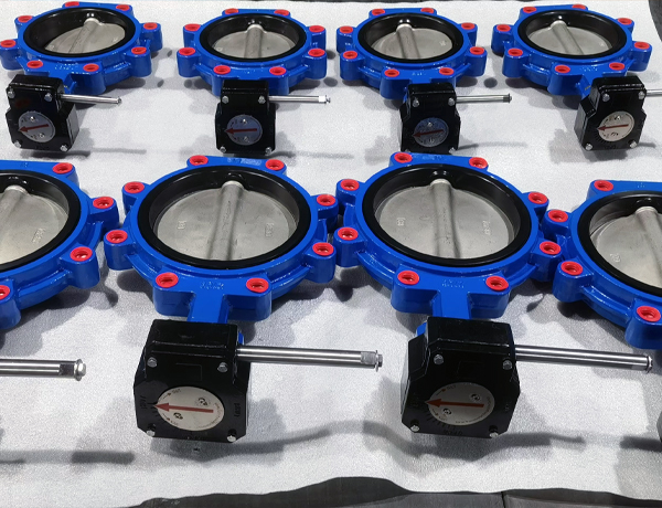 Center line soft seal butterfly valve