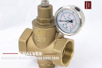 //iororwxhkjmjlm5p.leadongcdn.com/cloud/mrBpoKnrRllSkinoimlok/Bronze-pressure-reducing-valve-C95800.jpg