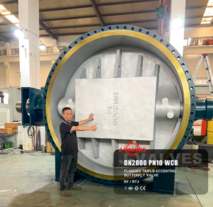 Carbon Steel Triple Eccentric Butterfly Valve.jpg