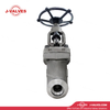 F11 Y Type Globe Valve