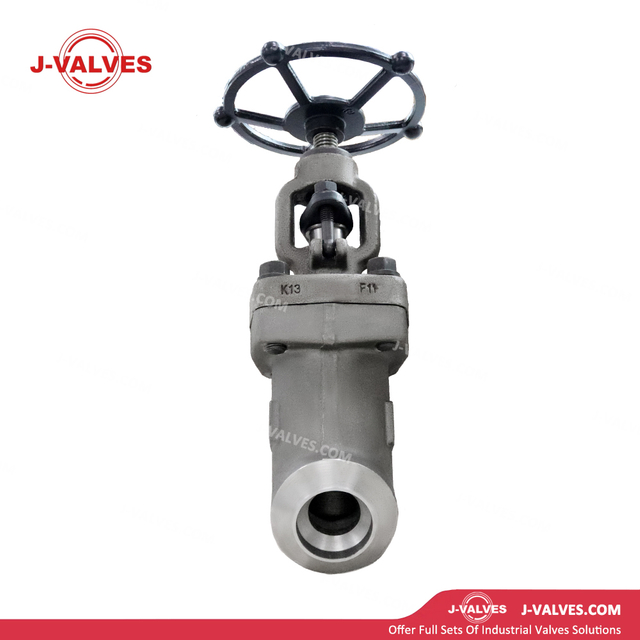 F11 Y Type Globe Valve