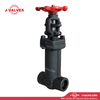 0.75“ 800LB A105N Bellows Gate Valve