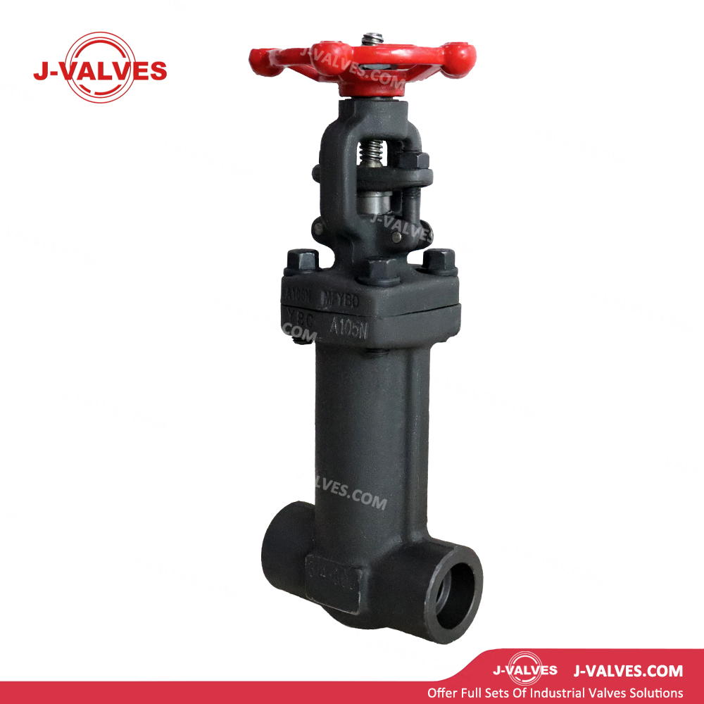 0.75“ 800LB A105N Bellows Gate Valve
