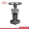 DN50 PN160 A105N Butt Weld Gate Valve