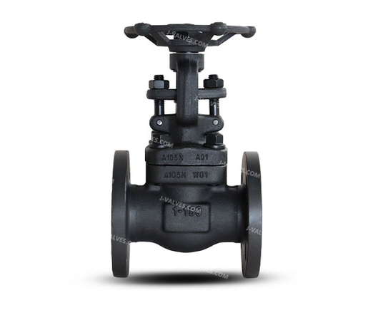 Forged Steel Globe Valve